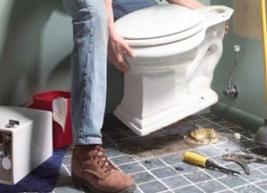 toile replacement service in Palmdale ca